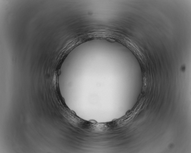 X0000101150333200806270806