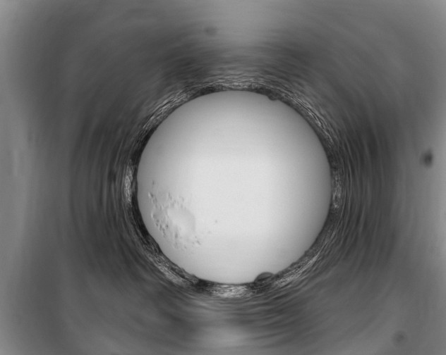 X0000101150334200806270806