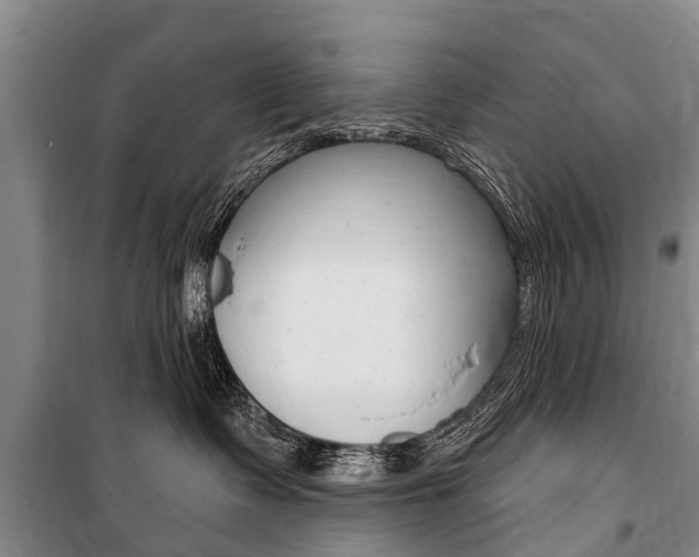 X0000101150335200806270806