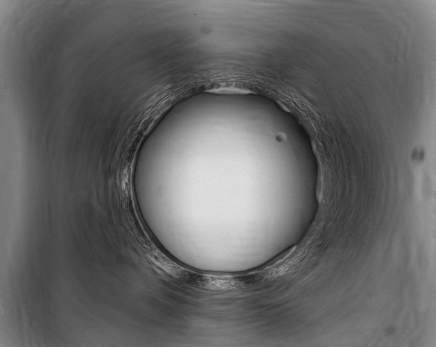 X0000101150336200806270806