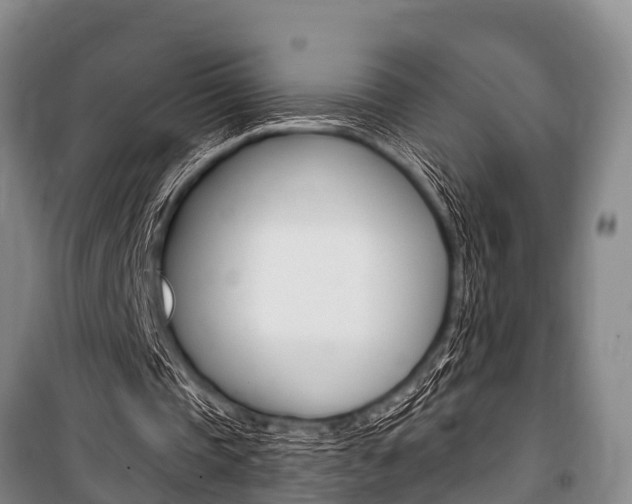 X0000101150337200806270805
