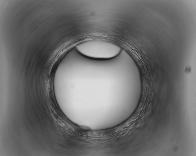 X0000101150338200806270805