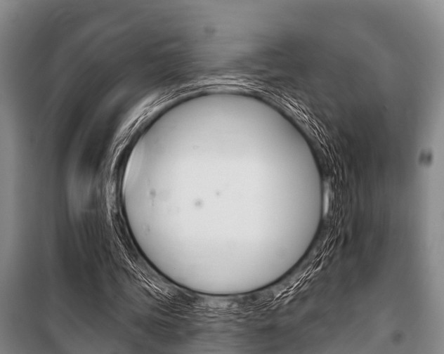 X0000101150339200806270805