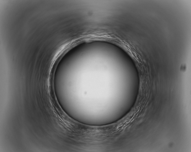 X0000101150340200806270805