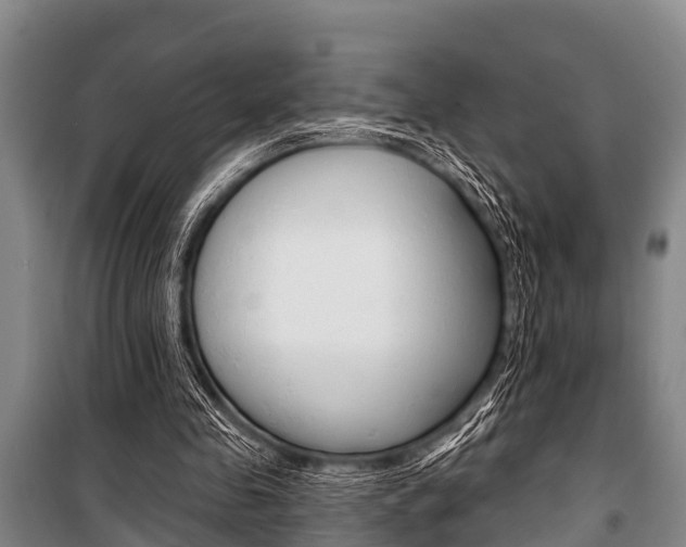 X0000101150341200806270805