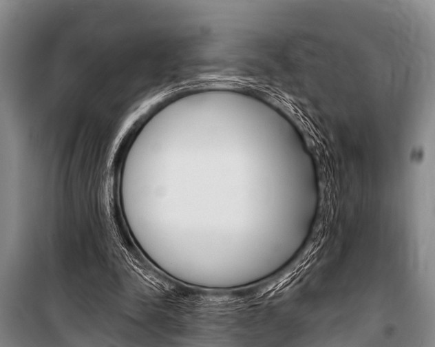 X0000101150342200806270805