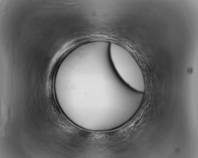 X0000101150343200806270805