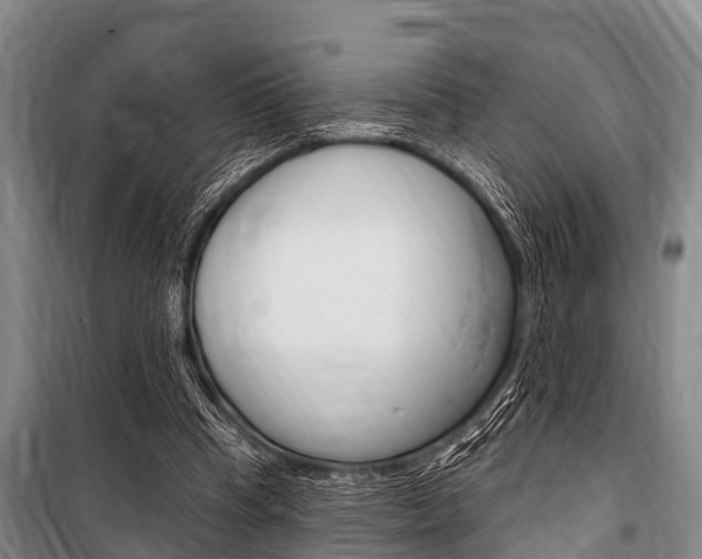 X0000101150345200806270805