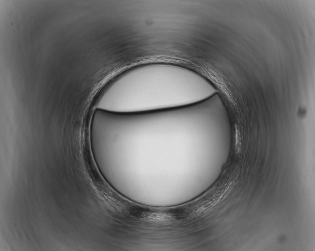 X0000101150348200806270805