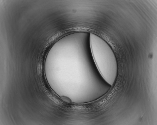 X0000101150349200806270805