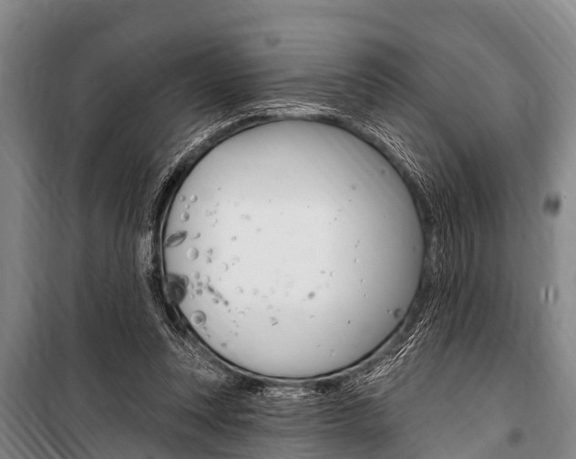 X0000101150351200806270805
