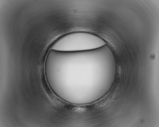 X0000101150352200806270805