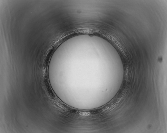 X0000101150355200806270805