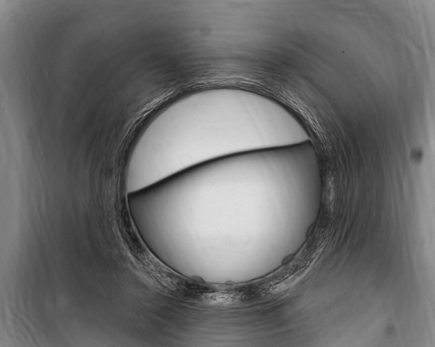 X0000101150356200806270805
