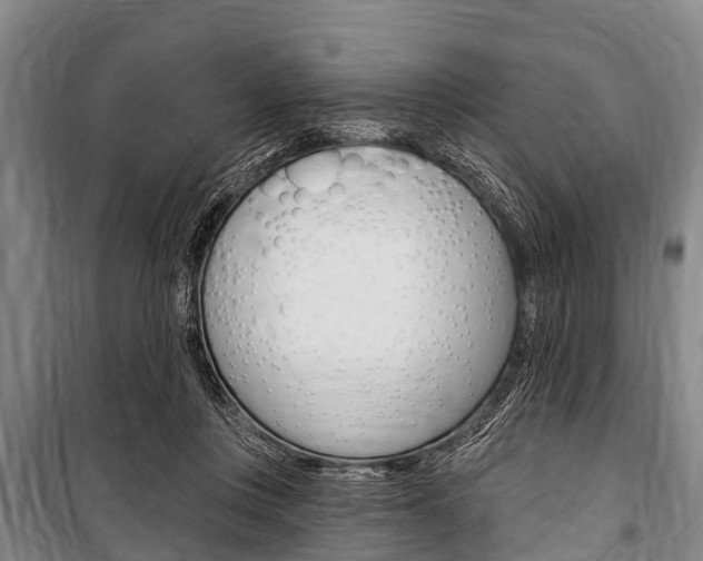 X0000101150359200806270805