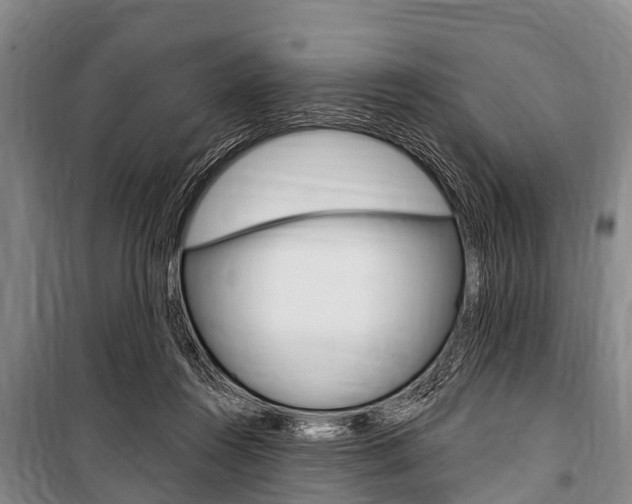 X0000101150360200806270805