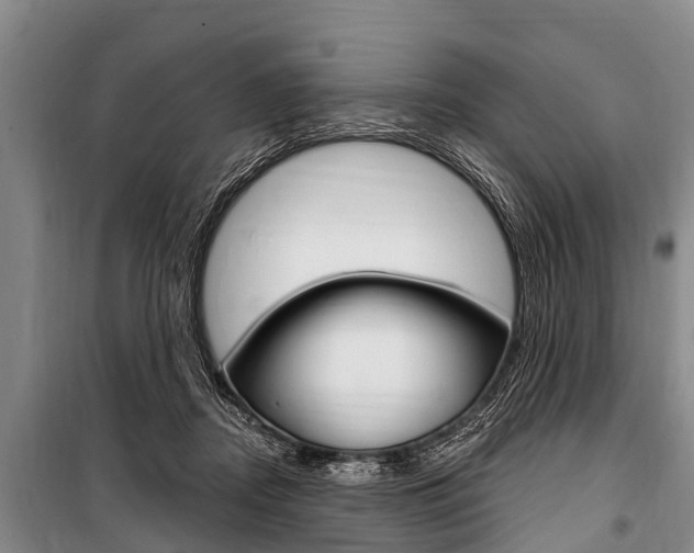 X0000101150362200806270805