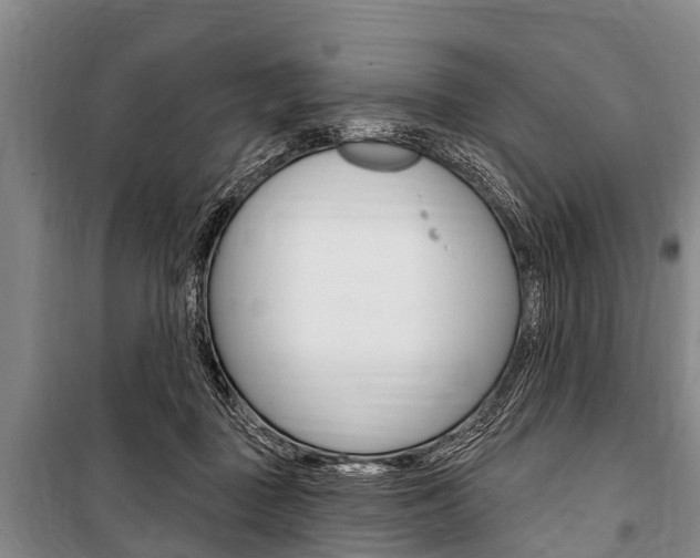 X0000101150363200806270805