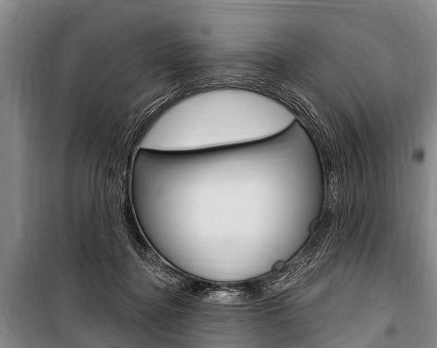 X0000101150364200806270805