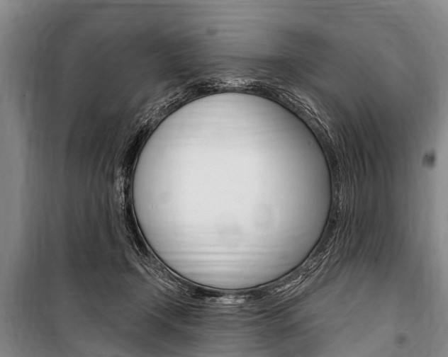 X0000101150366200806270805