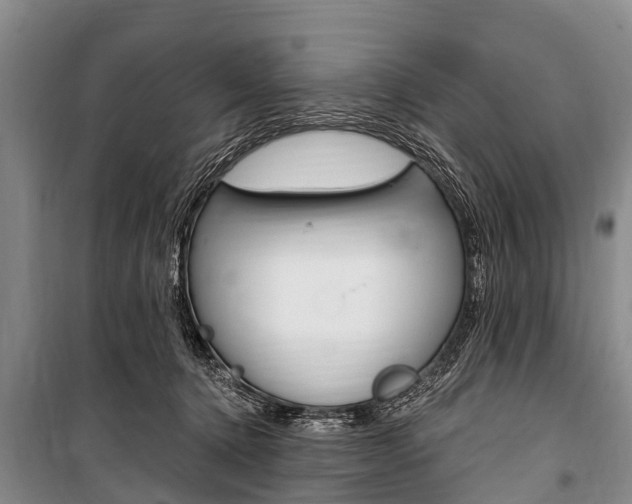 X0000101150368200806270805