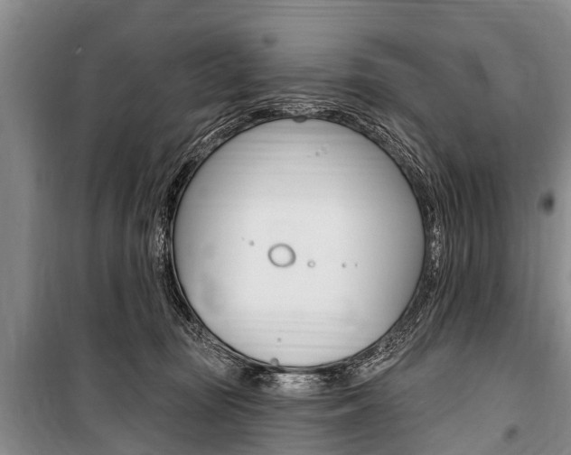 X0000101150371200806270806