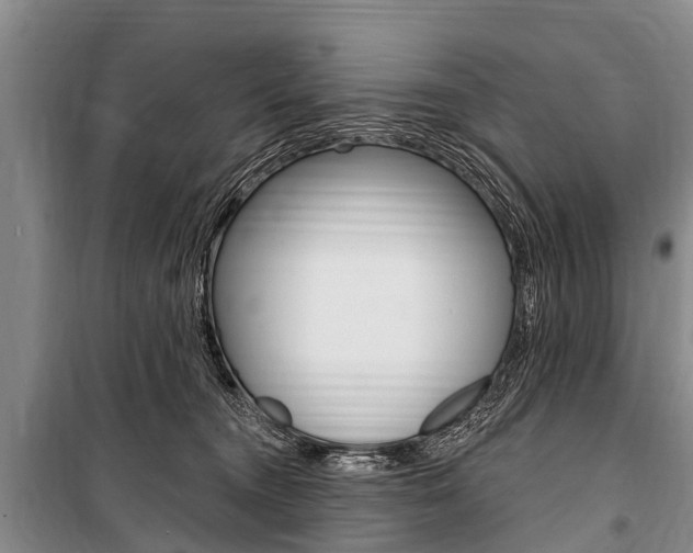 X0000101150372200806270806