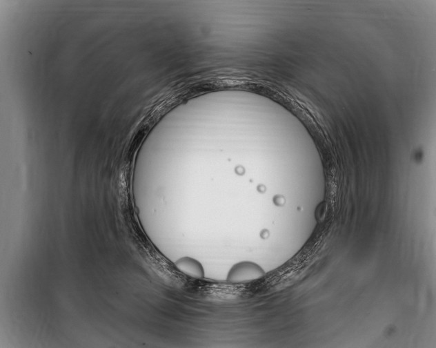 X0000101150373200806270806