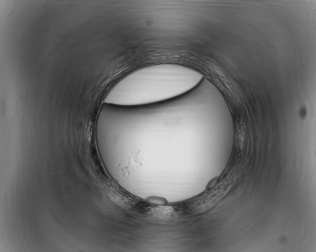 X0000101150374200806270806