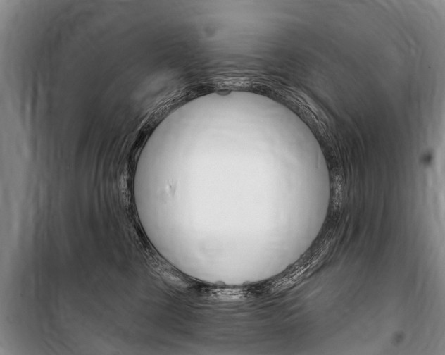 X0000101150377200806270806