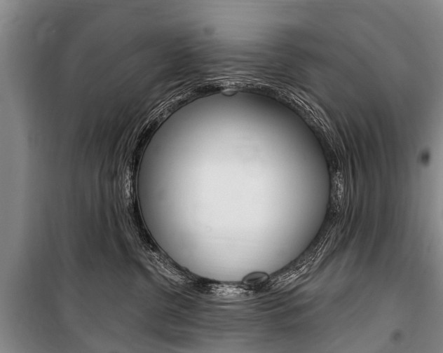 X0000101150380200806270806