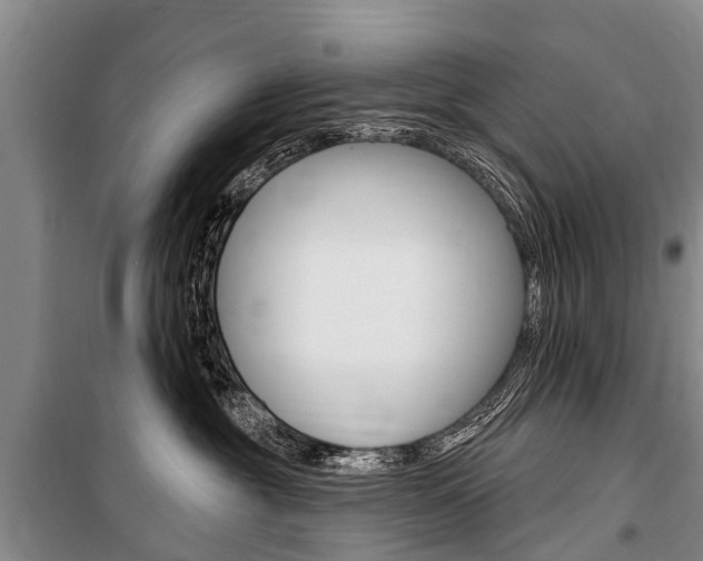 X0000101150381200806270806