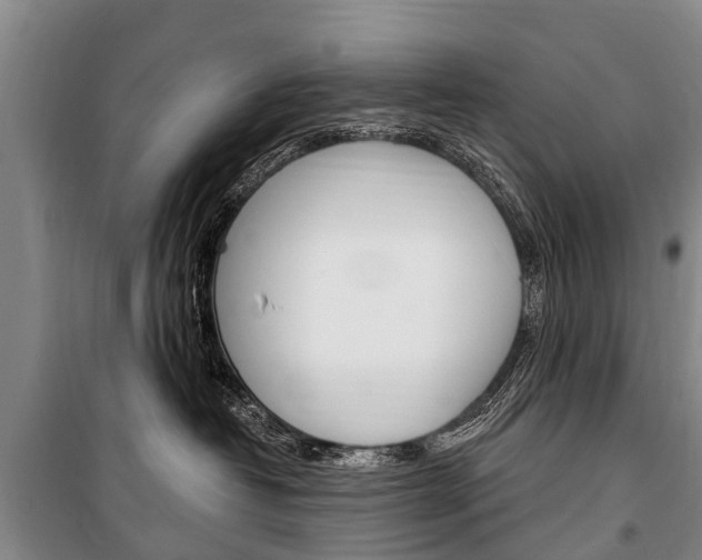 X0000101150382200806270806