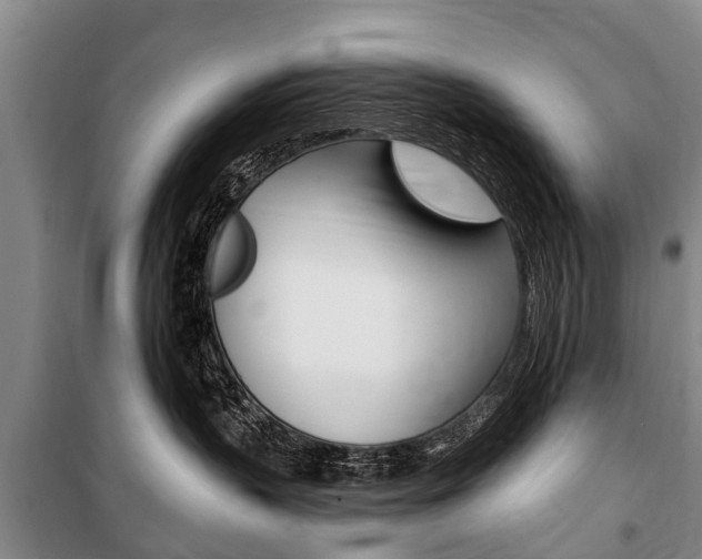 X0000101150383200806270806