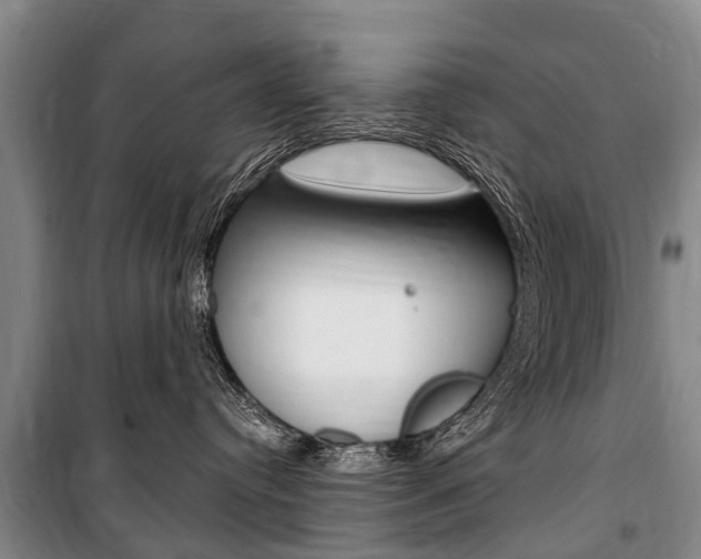 X0000101150384200806270806