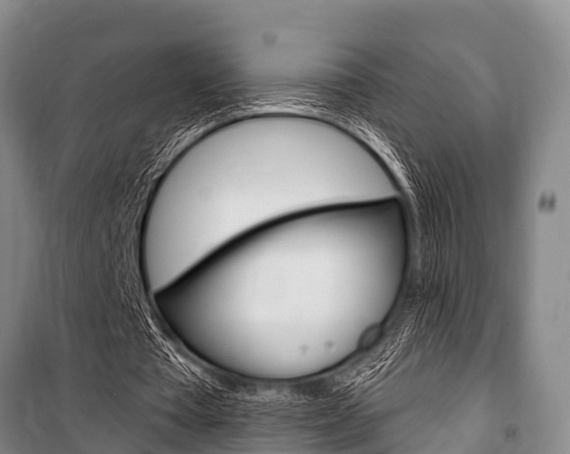 X0000101150385200806270805