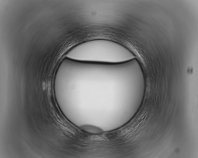 X0000101150386200806270805