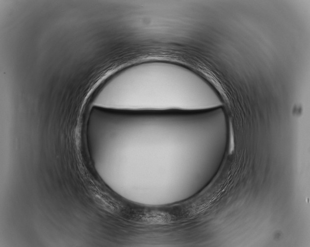 X0000101150387200806270805