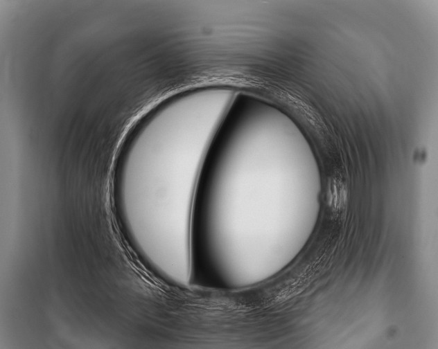 X0000101150388200806270805