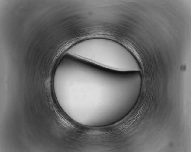 X0000101150389200806270805
