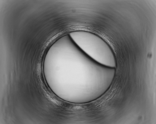 X0000101150390200806270805