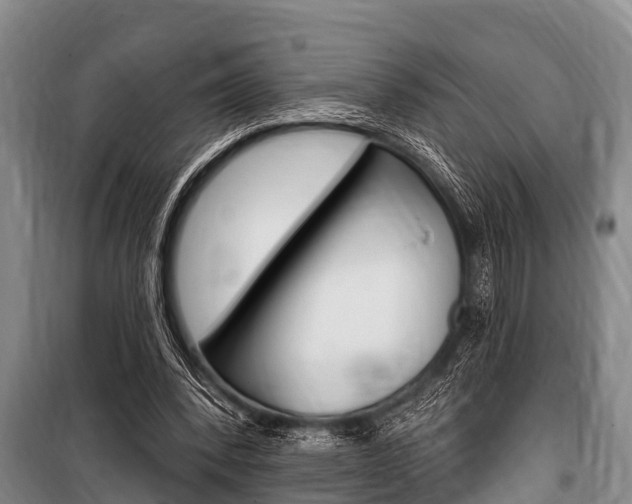 X0000101150392200806270805