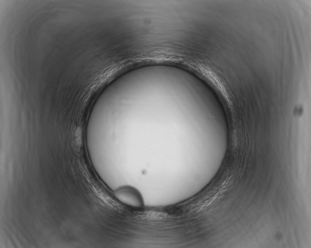 X0000101150393200806270805