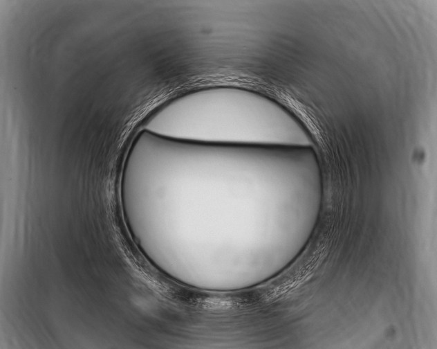 X0000101150394200806270805