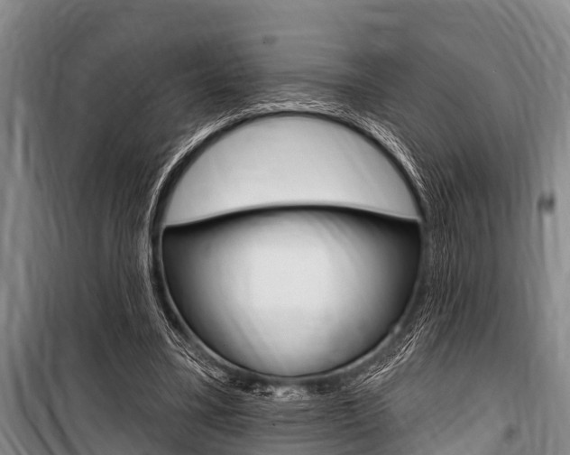 X0000101150395200806270805