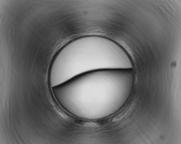 X0000101150397200806270805