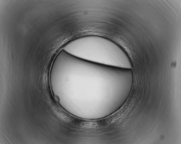 X0000101150398200806270805