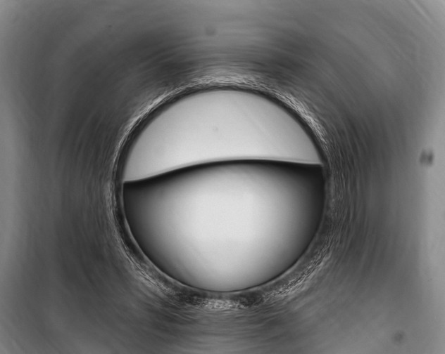 X0000101150399200806270805