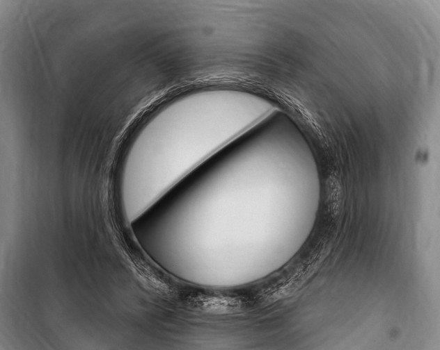 X0000101150400200806270805