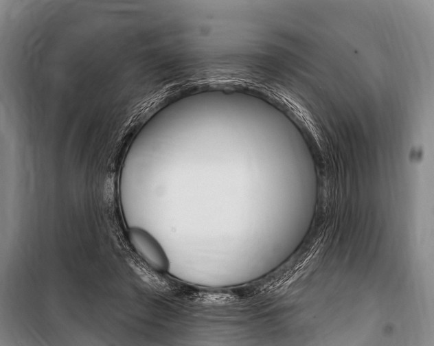 X0000101150401200806270805
